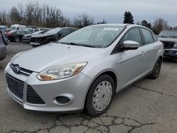 Ford Focus salvage cars for sale: 2013 Ford Focus SE