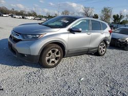 Honda crv salvage cars for sale: 2019 Honda CR-V EXL