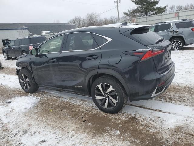 2020 Lexus NX 300H