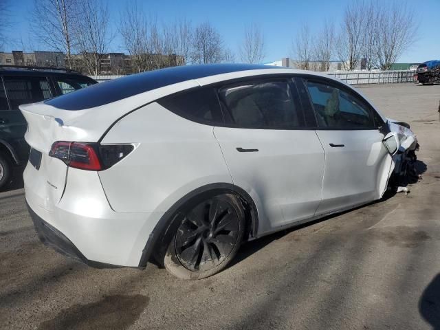 2025 Tesla Model Y