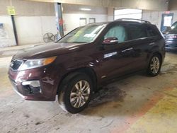 Salvage cars for sale from Copart Indianapolis, IN: 2011 KIA Sorento SX