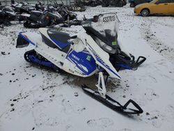 Other Snow Mobile salvage cars for sale: 2015 Other Snow Mobile Snowmobile