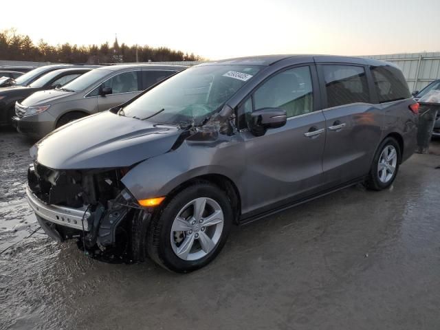 2020 Honda Odyssey EXL