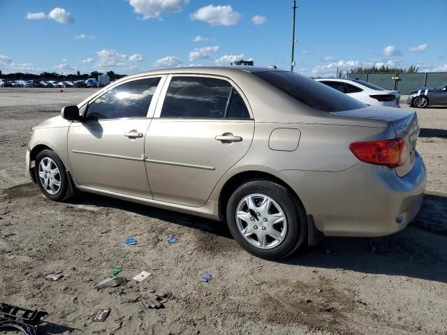 2010 Toyota Corolla Base