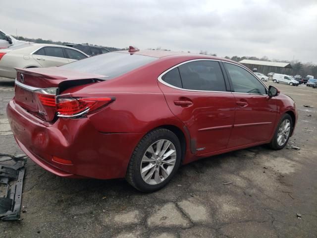 2013 Lexus ES 300H