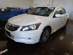 Honda Accord salvage cars for sale: 2012 Honda Accord EXL