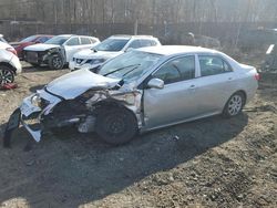 Toyota Corolla salvage cars for sale: 2010 Toyota Corolla Base