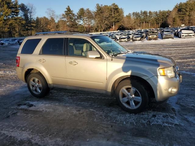 2010 Ford Escape Limited