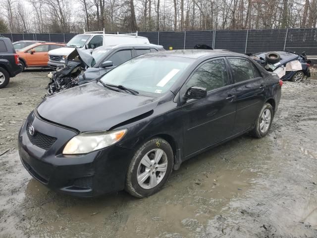 2010 Toyota Corolla Base