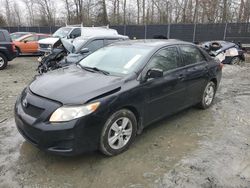 Toyota Corolla salvage cars for sale: 2010 Toyota Corolla Base