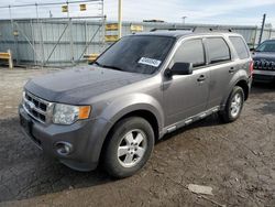 2012 Ford Escape XLT en venta en Dyer, IN