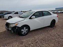 Toyota Corolla salvage cars for sale: 2011 Toyota Corolla Base