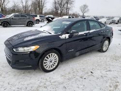 Salvage cars for sale from Copart Cicero, IN: 2014 Ford Fusion SE Hybrid