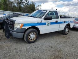 2013 Ford F150 for sale in Riverview, FL