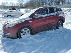 Ford Escape salvage cars for sale: 2014 Ford Escape SE