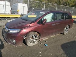 Honda Odyssey salvage cars for sale: 2018 Honda Odyssey Elite