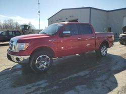 Ford f-150 salvage cars for sale: 2012 Ford F150 Supercrew