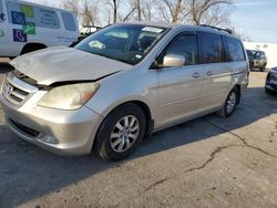 Honda Odyssey salvage cars for sale: 2005 Honda Odyssey Touring