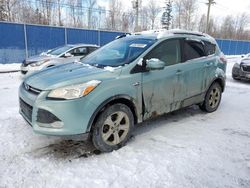 Ford Escape salvage cars for sale: 2013 Ford Escape SE