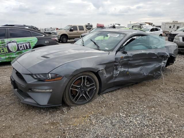 2023 Ford Mustang