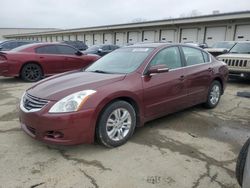 Nissan salvage cars for sale: 2010 Nissan Altima Base