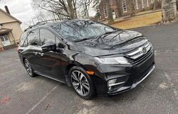 Salvage cars for sale from Copart Glassboro, NJ: 2018 Honda Odyssey Elite