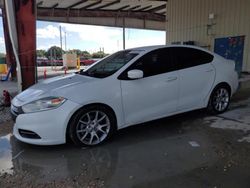 Dodge salvage cars for sale: 2013 Dodge Dart SXT