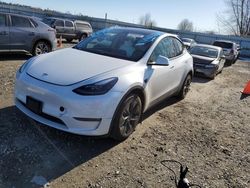 Tesla salvage cars for sale: 2023 Tesla Model Y