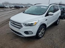 Ford Escape salvage cars for sale: 2017 Ford Escape SE