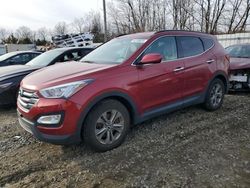 Hyundai Santa fe salvage cars for sale: 2014 Hyundai Santa FE Sport