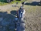 2025 Kawasaki EN650 D