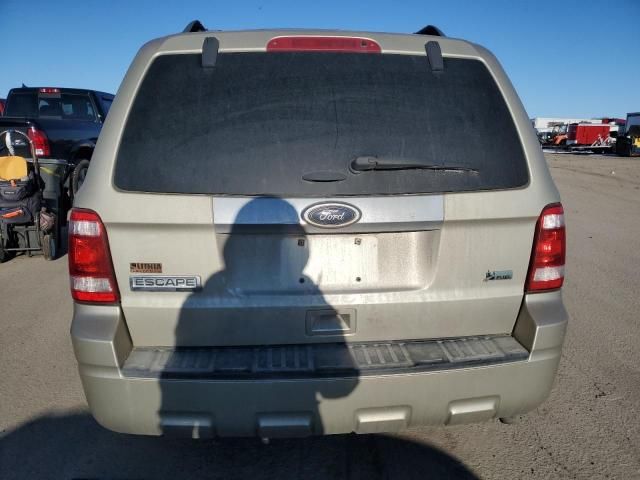 2011 Ford Escape Limited