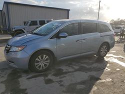 Honda Odyssey exl salvage cars for sale: 2014 Honda Odyssey EXL