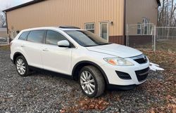 2010 Mazda CX-9 en venta en Indianapolis, IN