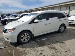 Honda Odyssey exl salvage cars for sale: 2016 Honda Odyssey EXL