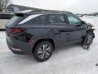 2024 Hyundai Tucson Blue