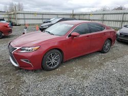 Salvage cars for sale from Copart Arlington, WA: 2017 Lexus ES 350