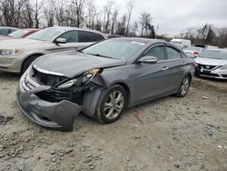 Hyundai Sonata salvage cars for sale: 2013 Hyundai Sonata SE