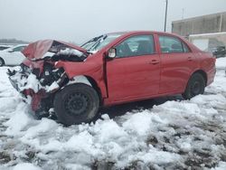 Toyota salvage cars for sale: 2010 Toyota Corolla Base