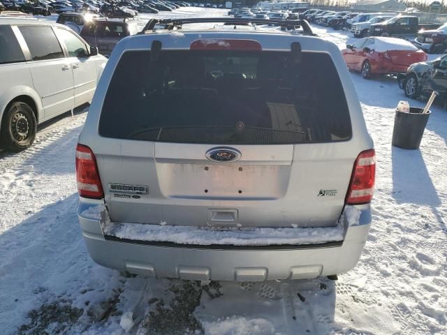 2012 Ford Escape XLT