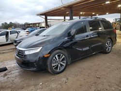 Honda Odyssey salvage cars for sale: 2024 Honda Odyssey Touring