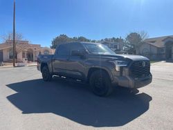 2022 Toyota Tundra Crewmax SR for sale in Anthony, TX