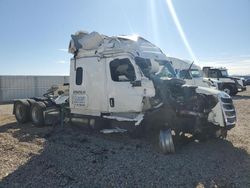 Salvage cars for sale from Copart Tucson, AZ: 2023 Freightliner Cascadia 126