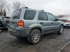 2005 Ford Escape XLS