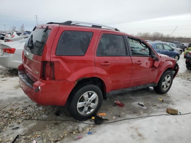 2010 Ford Escape Limited