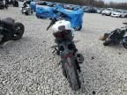 2024 Cf Moto 450NK