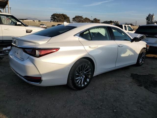 2024 Lexus ES 300H Base