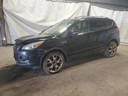 Ford Escape Titanium salvage cars for sale: 2013 Ford Escape Titanium