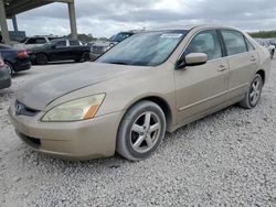 Honda Accord salvage cars for sale: 2005 Honda Accord EX