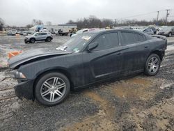 Dodge salvage cars for sale: 2013 Dodge Charger SXT